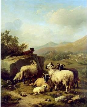 unknow artist Sheep 083 oil painting picture